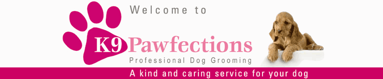 Welcome to K9 Pawfections - Mobile dog grooming service in Ashford, Kent